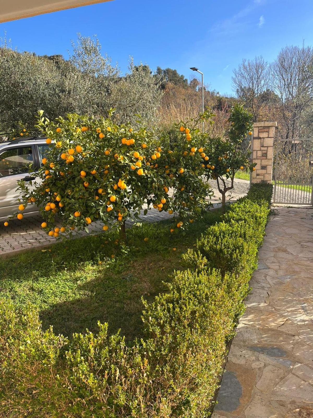 Villa Dei Limoni Shkallnur Exterior foto