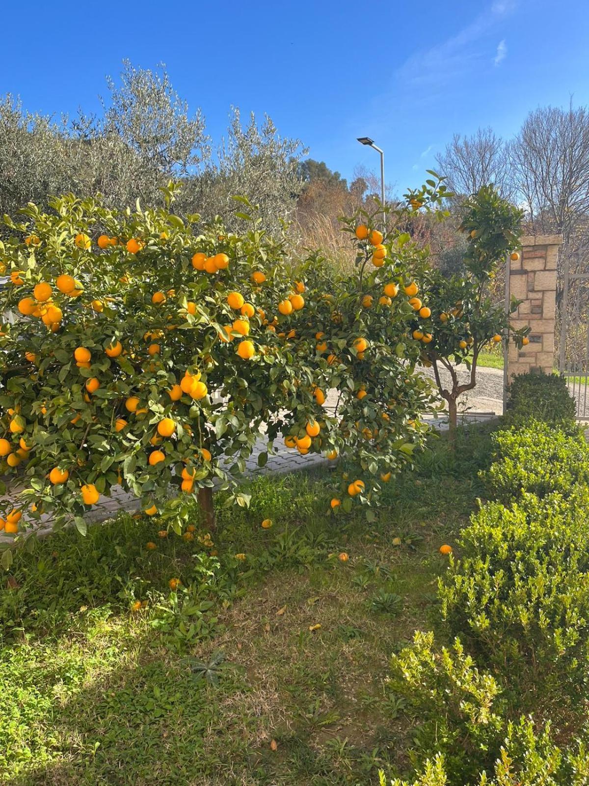 Villa Dei Limoni Shkallnur Exterior foto
