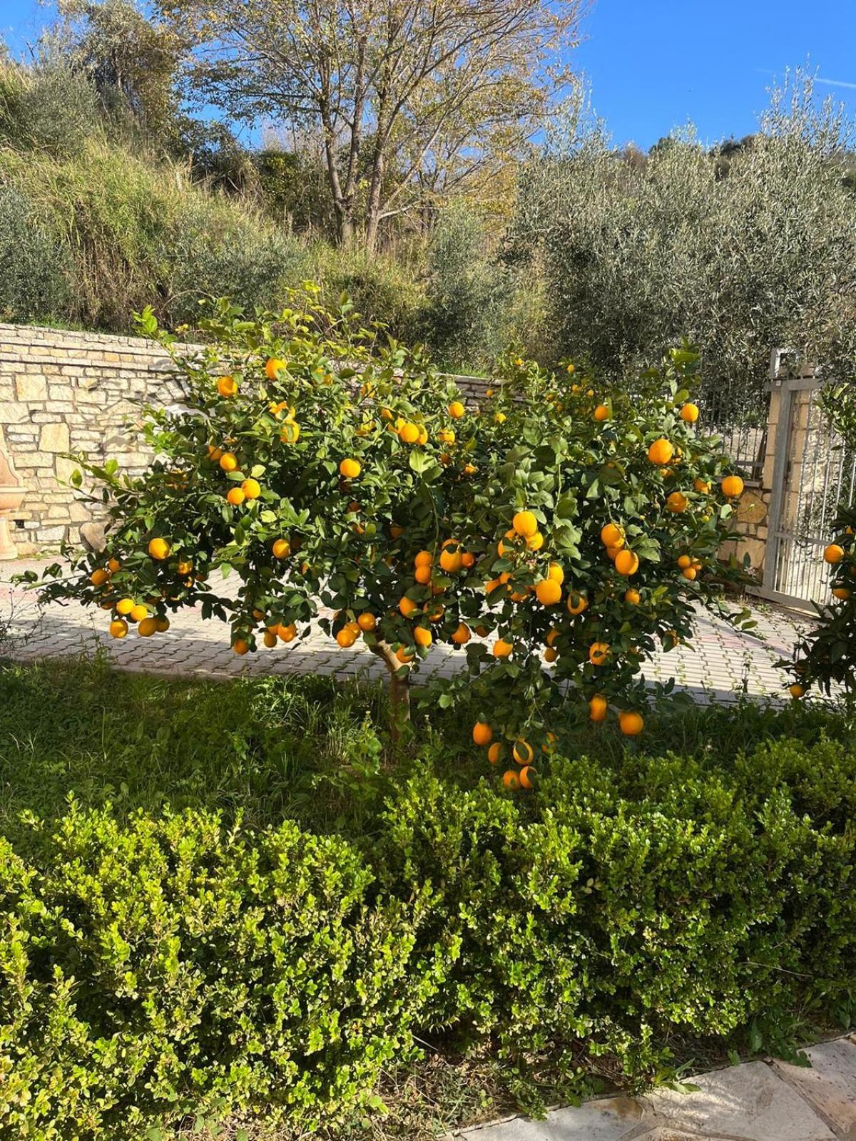Villa Dei Limoni Shkallnur Exterior foto